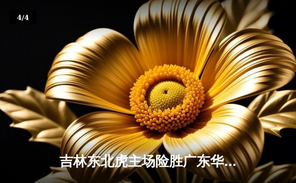 吉林东北虎主场险胜广东华南虎，CBA季后赛首战上演加时鏖战 - 4